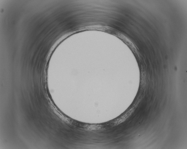 X0000081600808200702121548