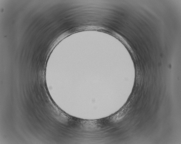 X0000081600810200702121548