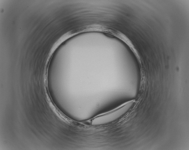 X0000081600811200702121548