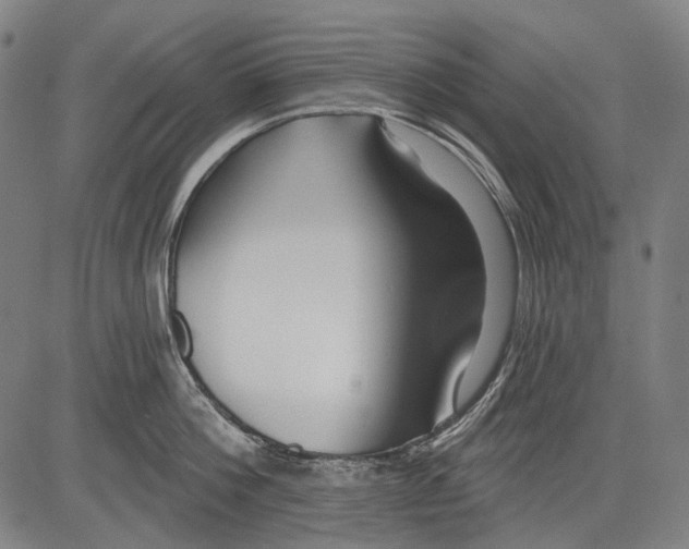 X0000081600812200702121548