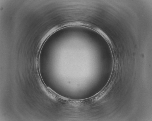 X0000081600813200702121548