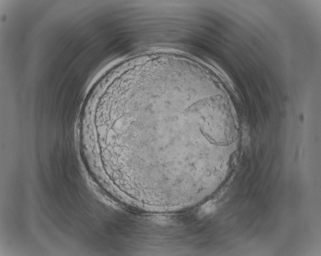 X0000081600814200702121548