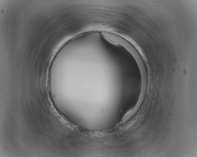 X0000081600815200702121548