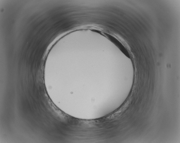 X0000081600816200702121548