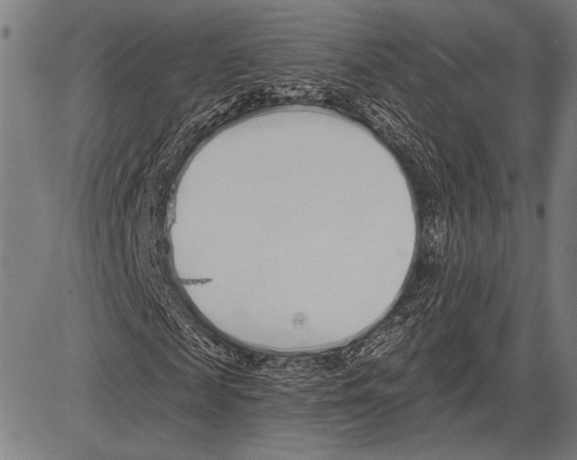 X0000081600817200702121547