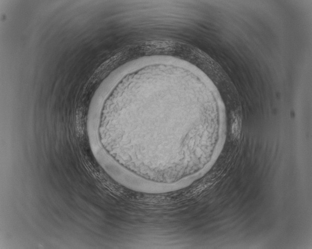 X0000081600819200702121547