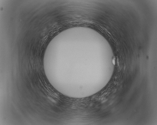 X0000081600820200702121547