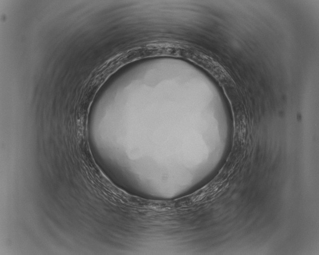 X0000081600821200702121547