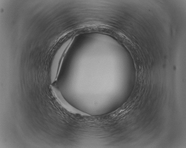 X0000081600822200702121547