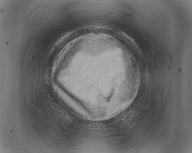 X0000081600823200702121547