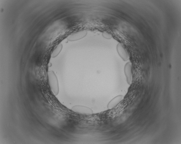 X0000081600824200702121547