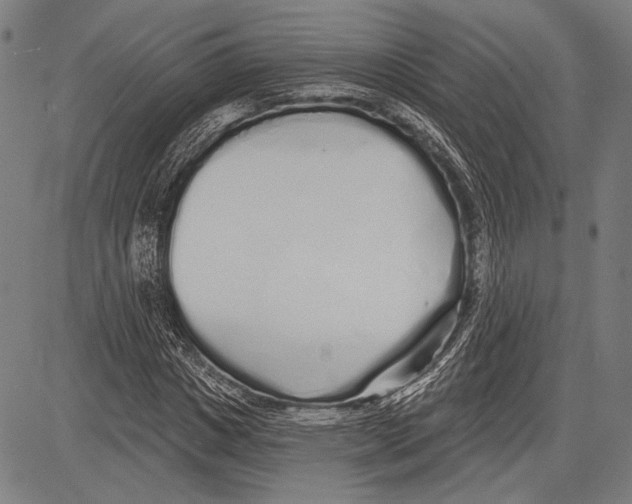 X0000081600825200702121547