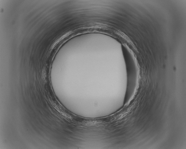 X0000081600826200702121547