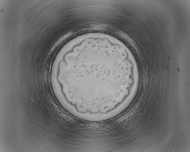 X0000081600827200702121547