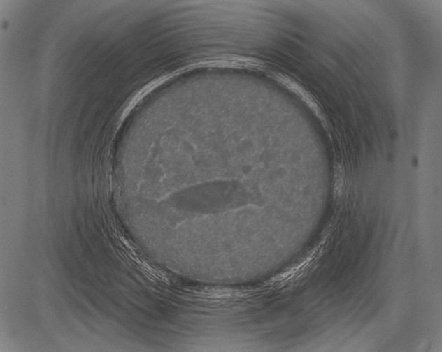 X0000081600829200702121547