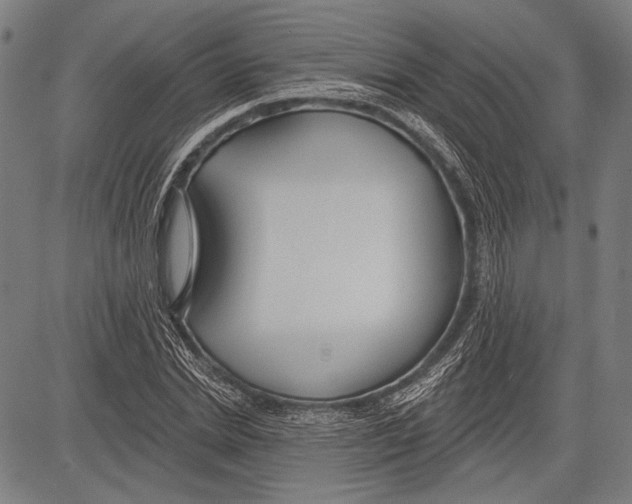 X0000081600830200702121547