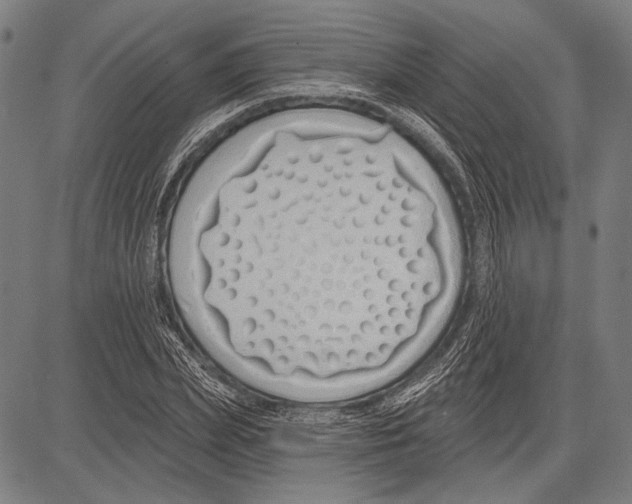 X0000081600831200702121547