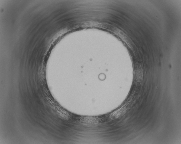 X0000081600832200702121547