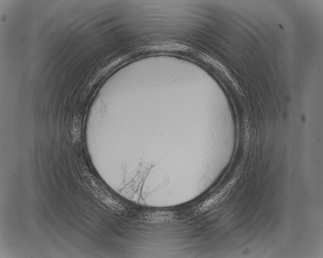 X0000081600833200702121547