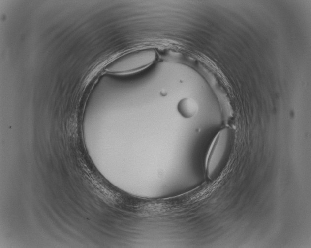 X0000081600834200702121547