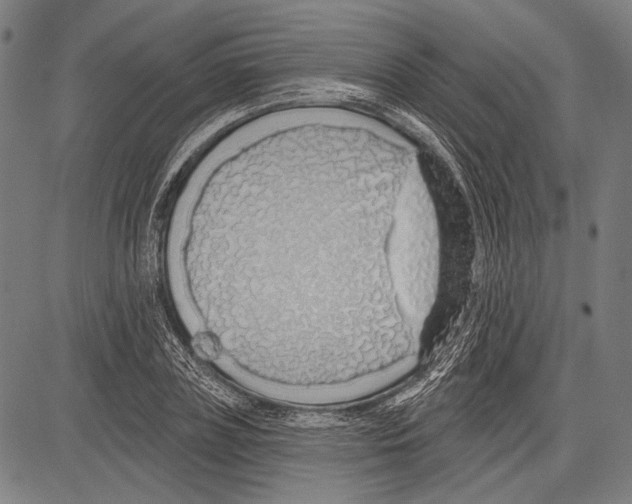 X0000081600835200702121547