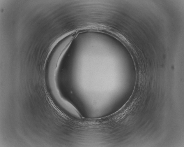 X0000081600838200702121547