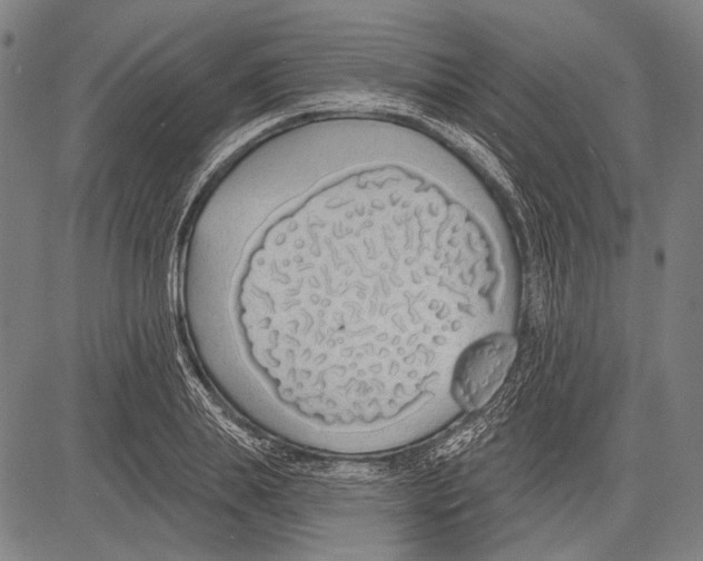 X0000081600839200702121547