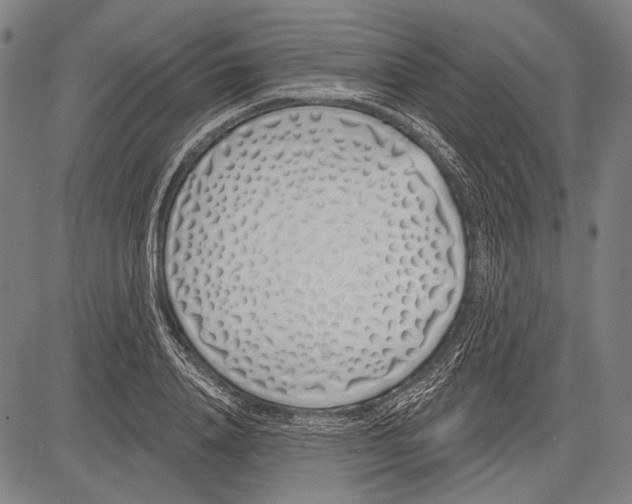 X0000081600840200702121547