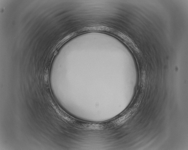 X0000081600841200702121547