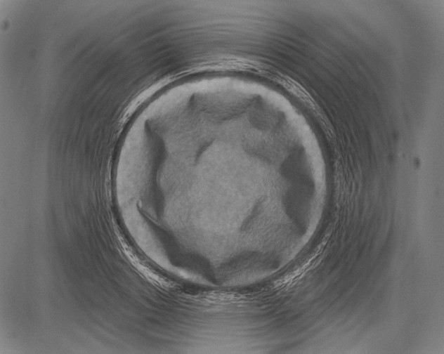 X0000081600842200702121547