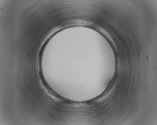 X0000081600843200702121547