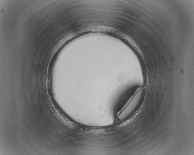 X0000081600845200702121547