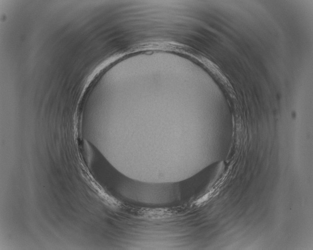 X0000081600846200702121547