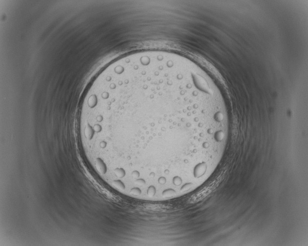 X0000081600847200702121547