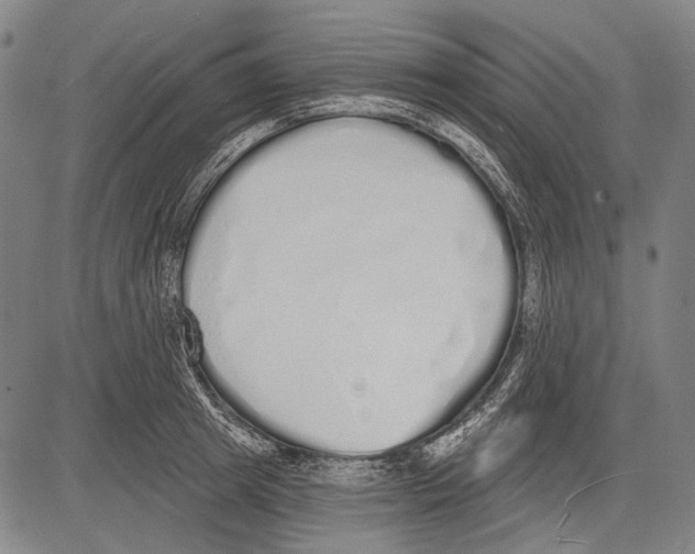 X0000081600849200702121547