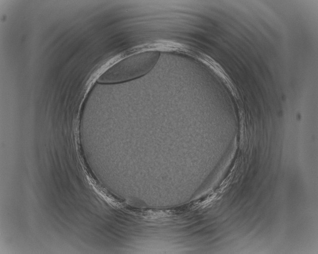 X0000081600850200702121547