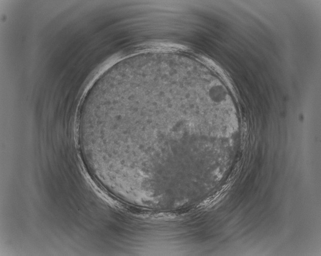 X0000081600851200702121547