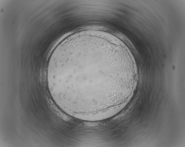 X0000081600852200702121547