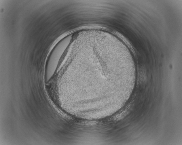 X0000081600853200702121547