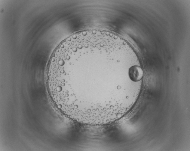 X0000081600856200702121547