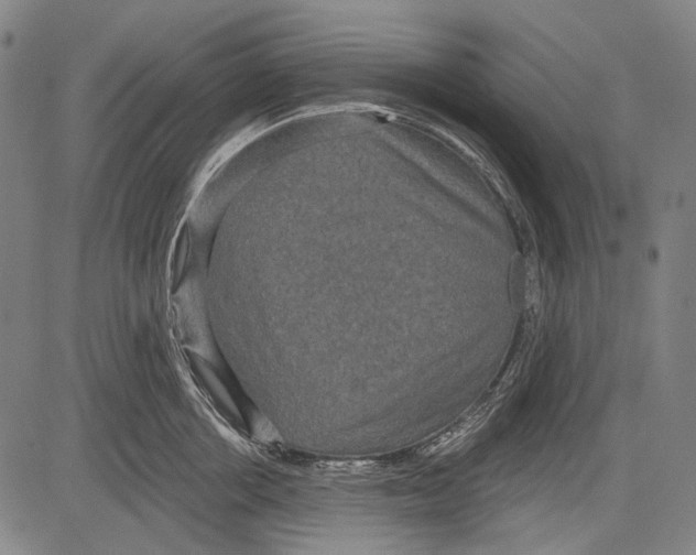 X0000081600858200702121547