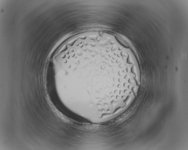 X0000081600859200702121547