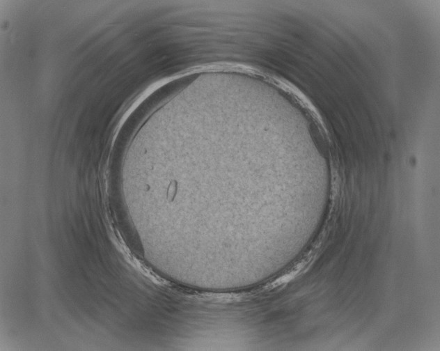 X0000081600860200702121547