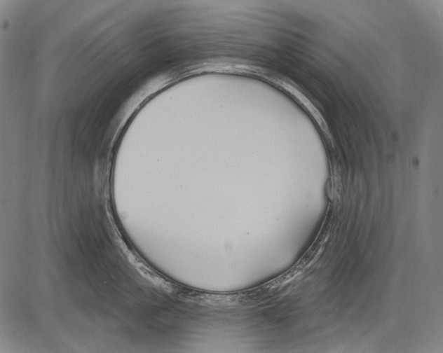 X0000081600861200702121547