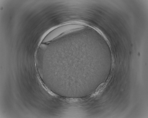 X0000081600862200702121548