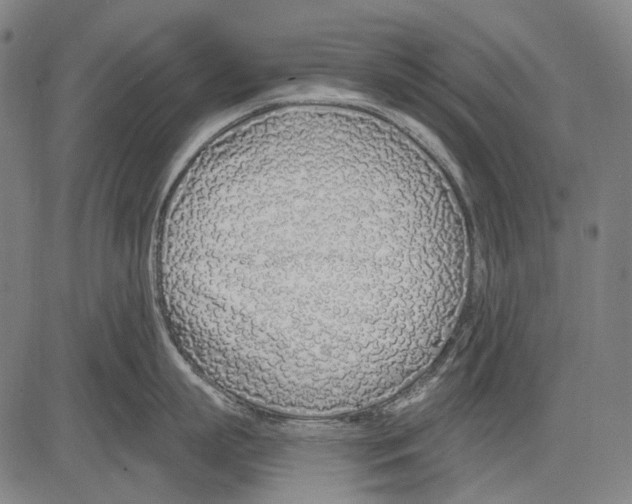 X0000081600863200702121548