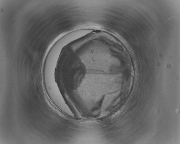 X0000081600864200702121548