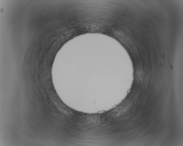 X0000081600865200702121547