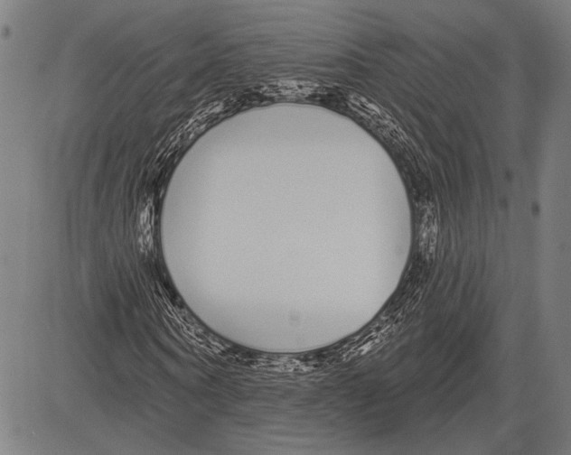 X0000081600866200702121547