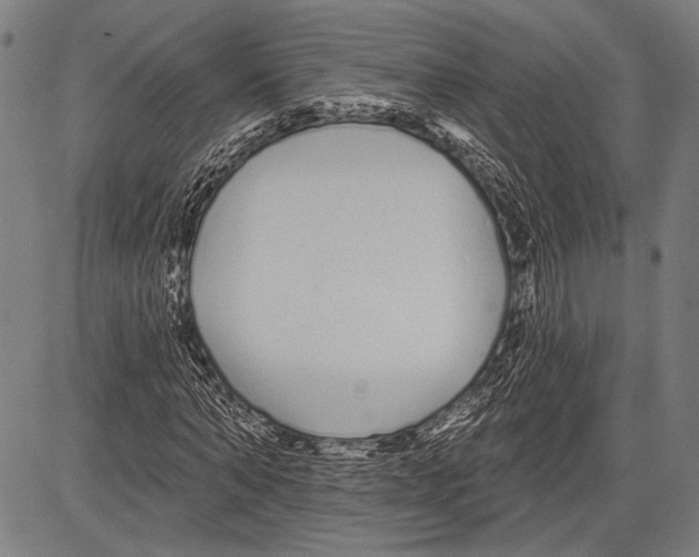 X0000081600870200702121547